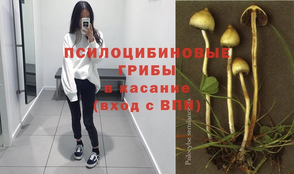 наркотики Белокуриха