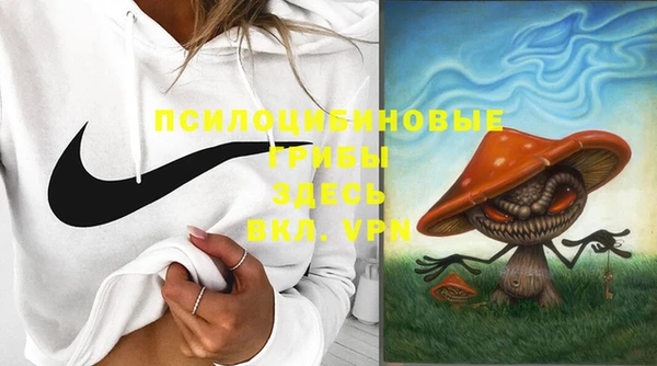 наркотики Белокуриха